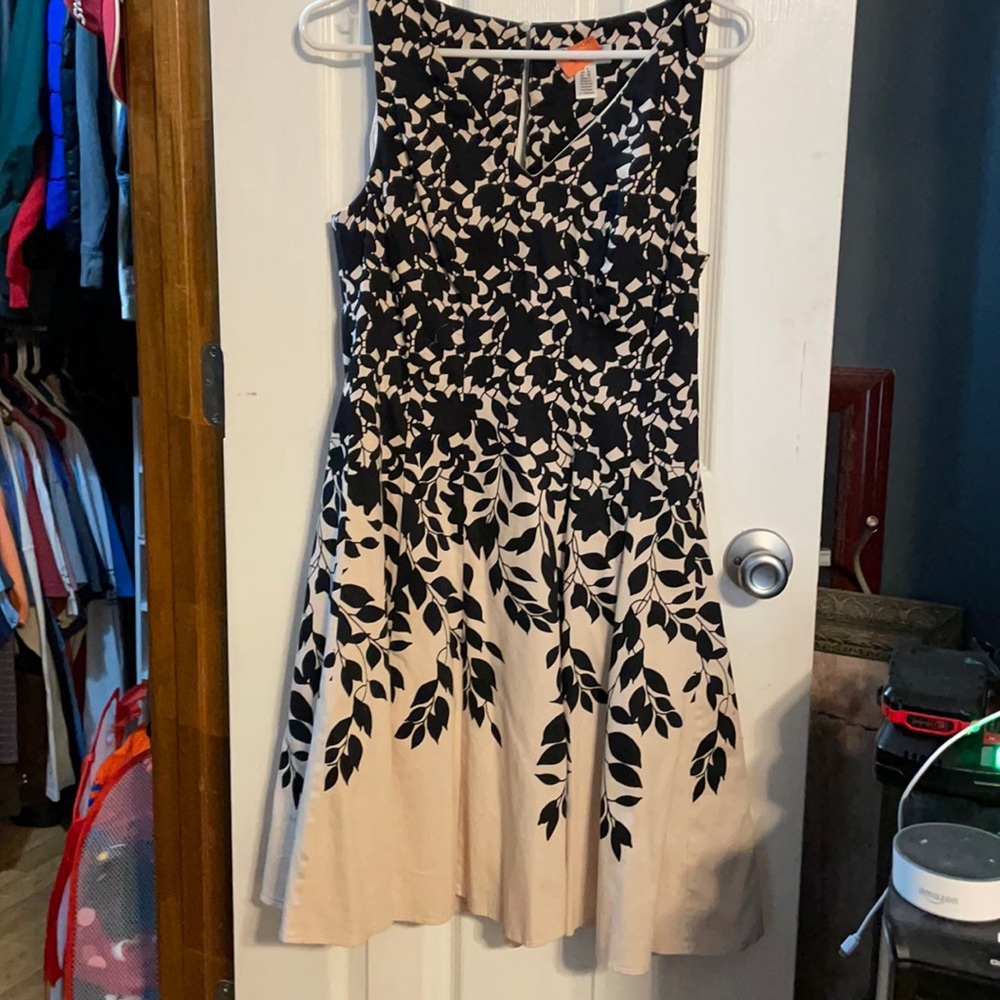Maggy L A-Line black & blush dress. Knee length